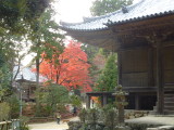 img0085.jpg