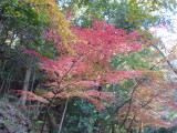 img0091.jpg