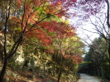 img0093.jpg