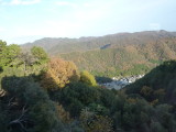 img0098.jpg