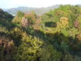 img0101.jpg