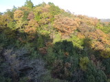 img0102.jpg