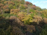 img0103.jpg