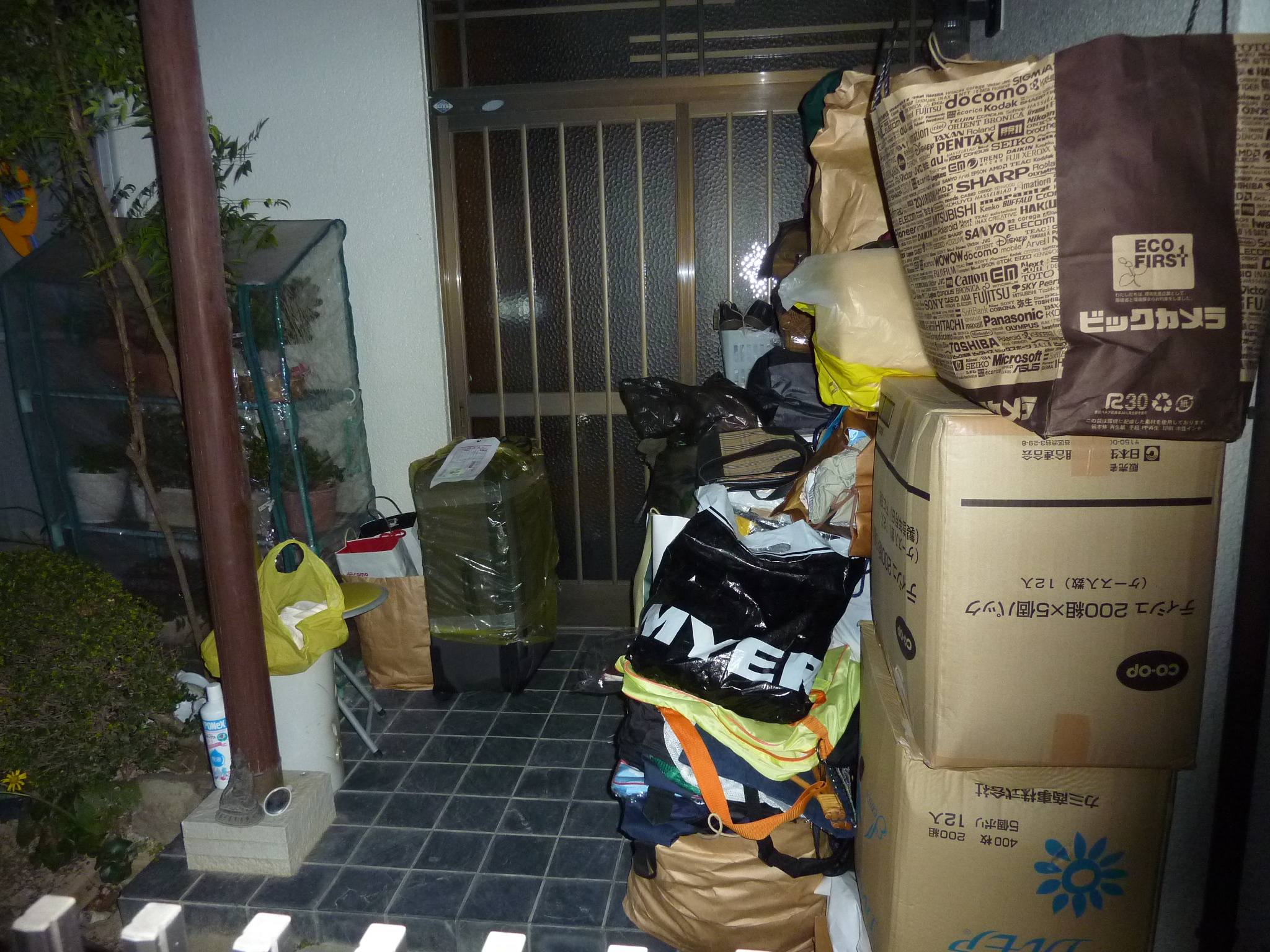 P1090106.JPG