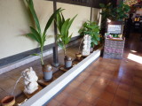 img0005.jpg