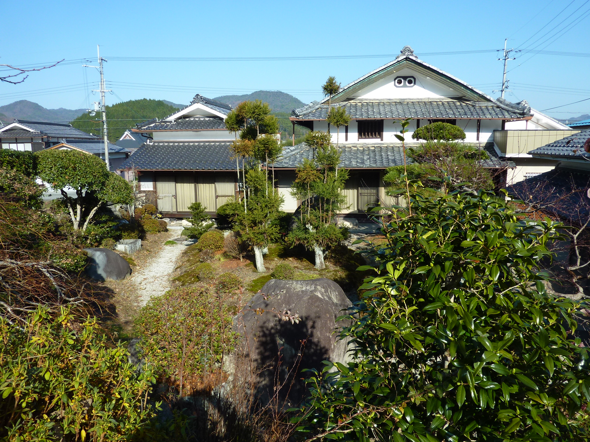P1090161.JPG