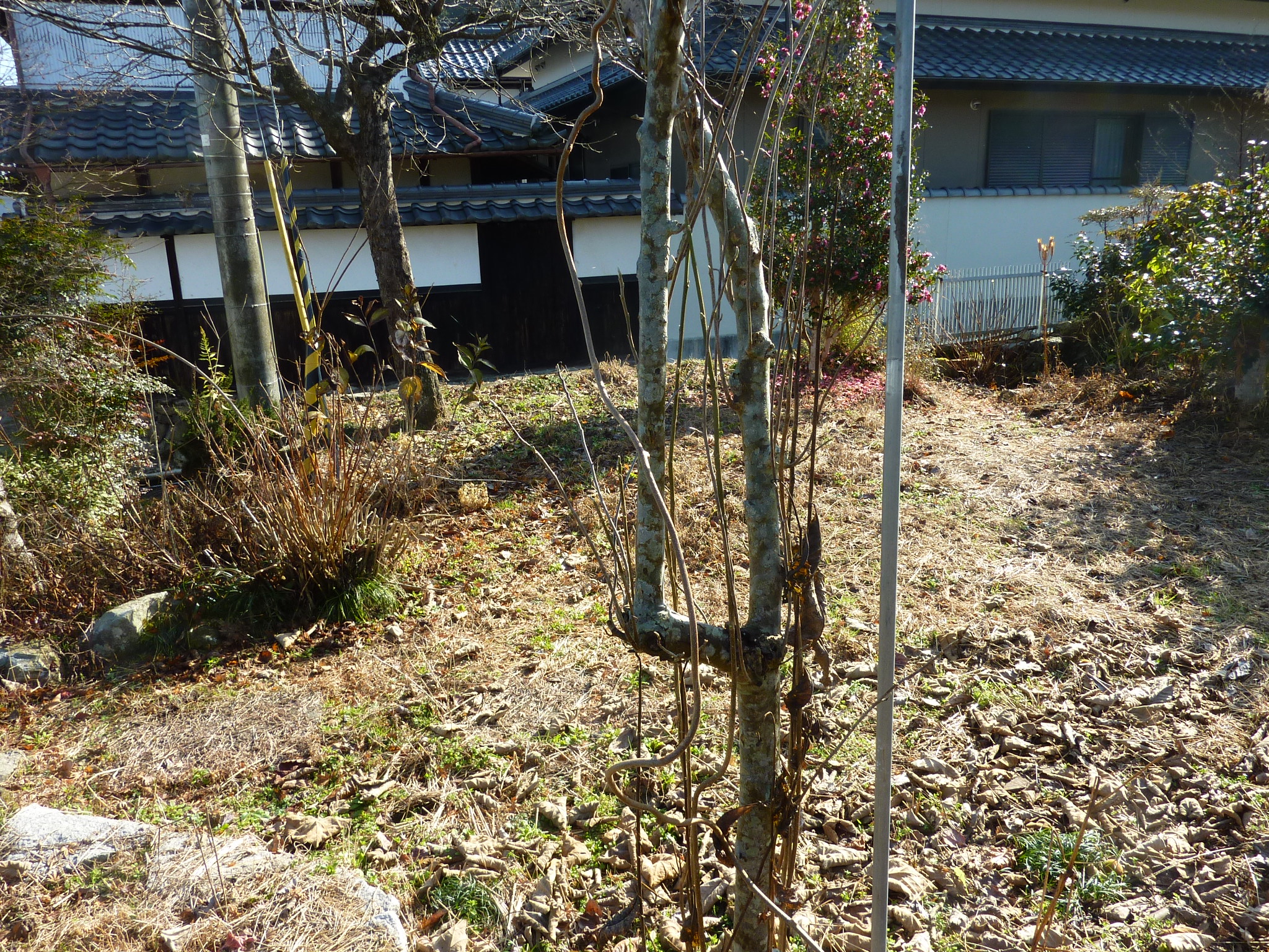 P1090163.JPG