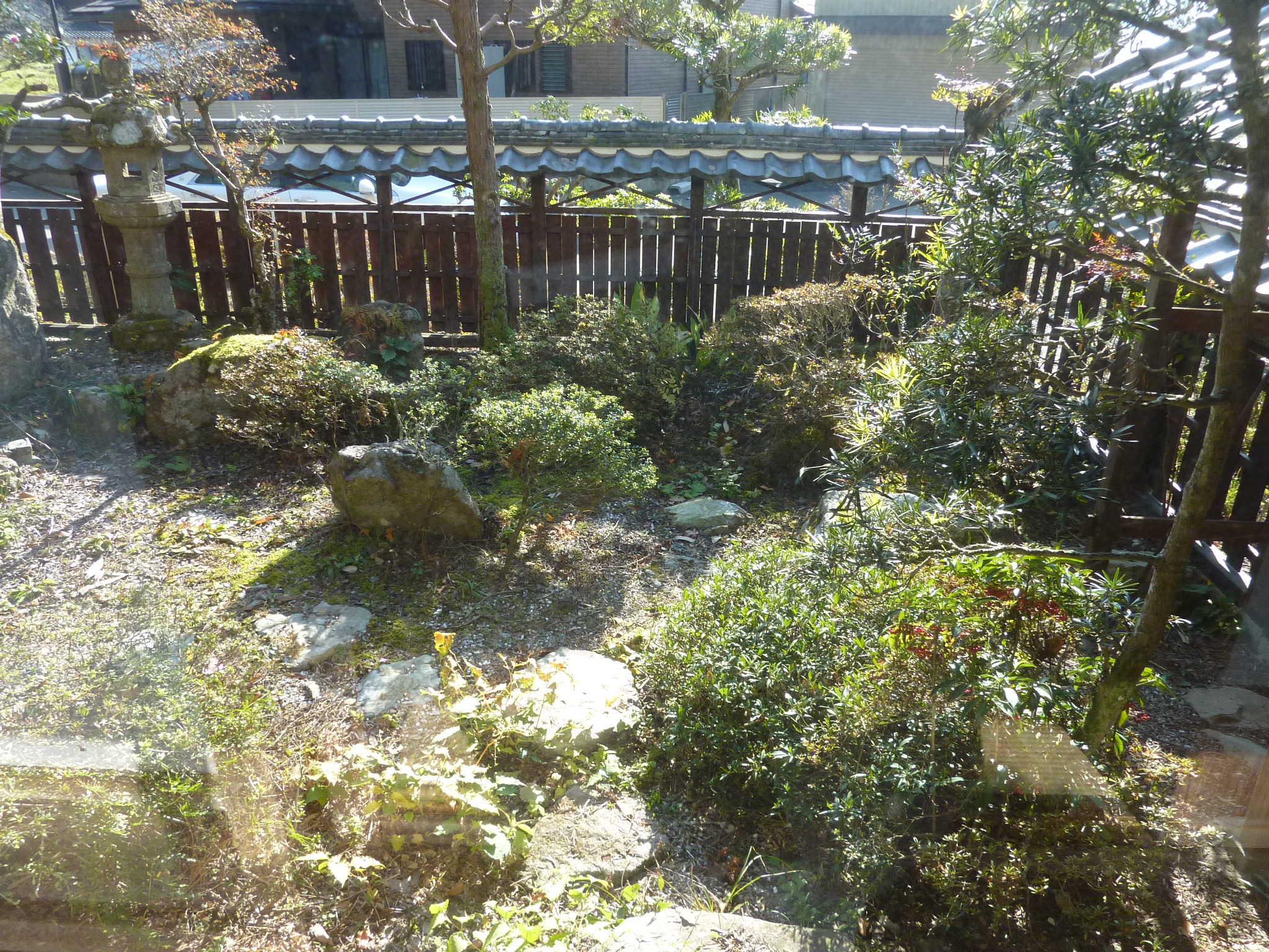 P1090187.JPG