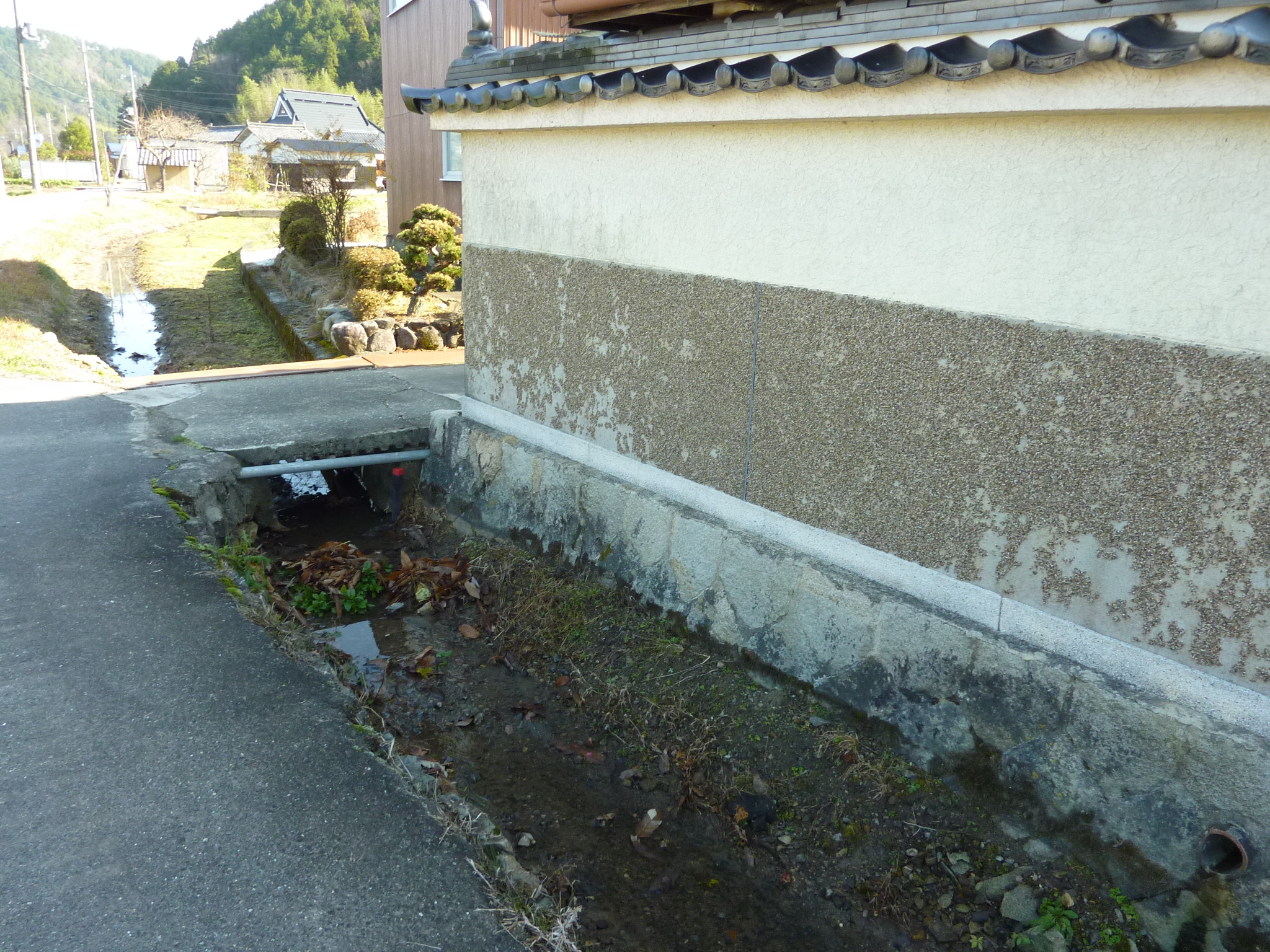 P1090206.JPG