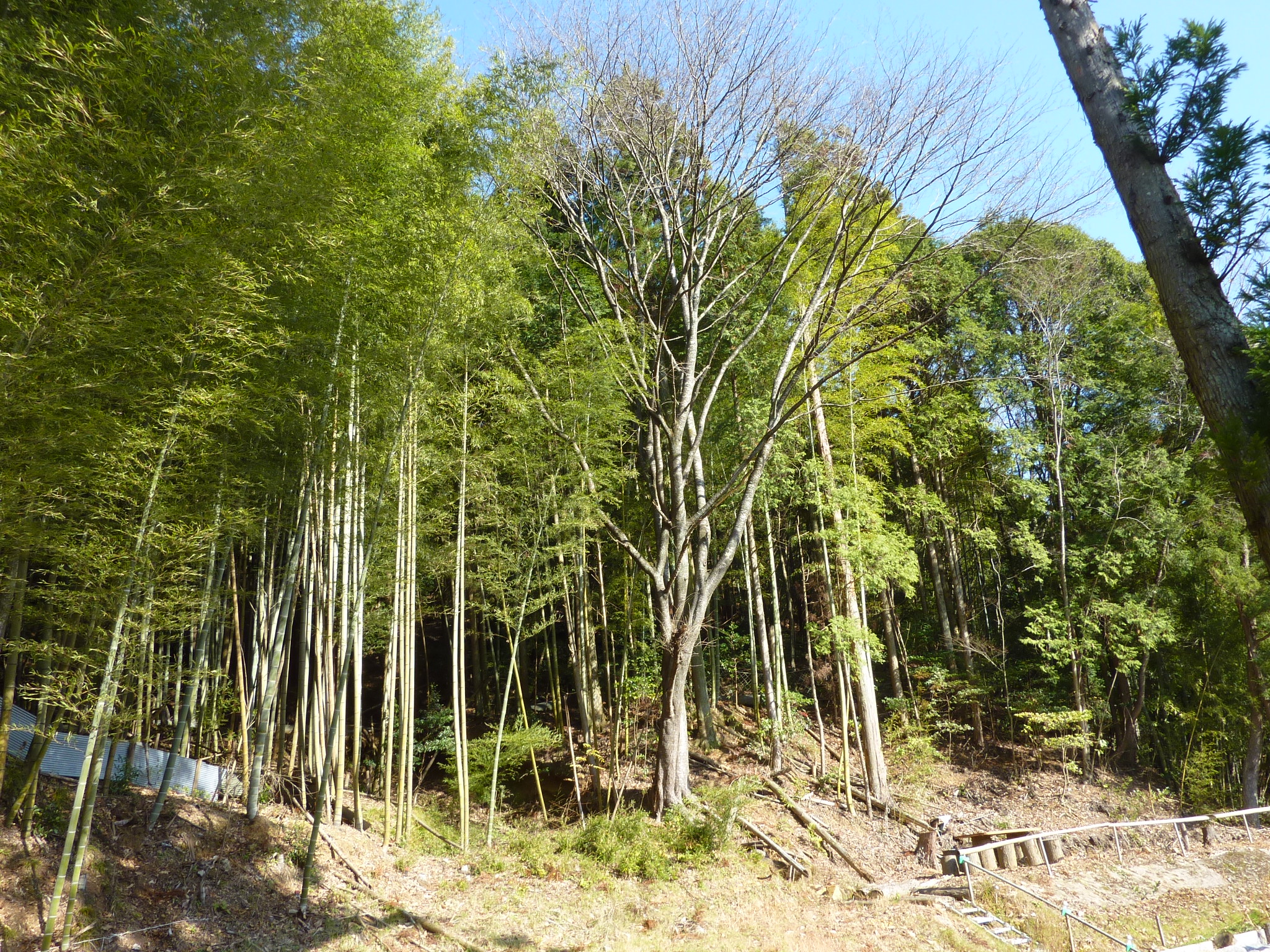P1090211.JPG