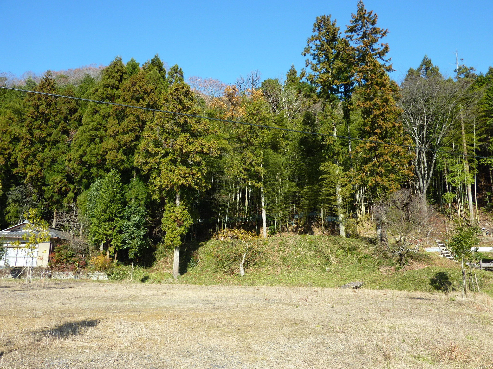 P1090214.JPG