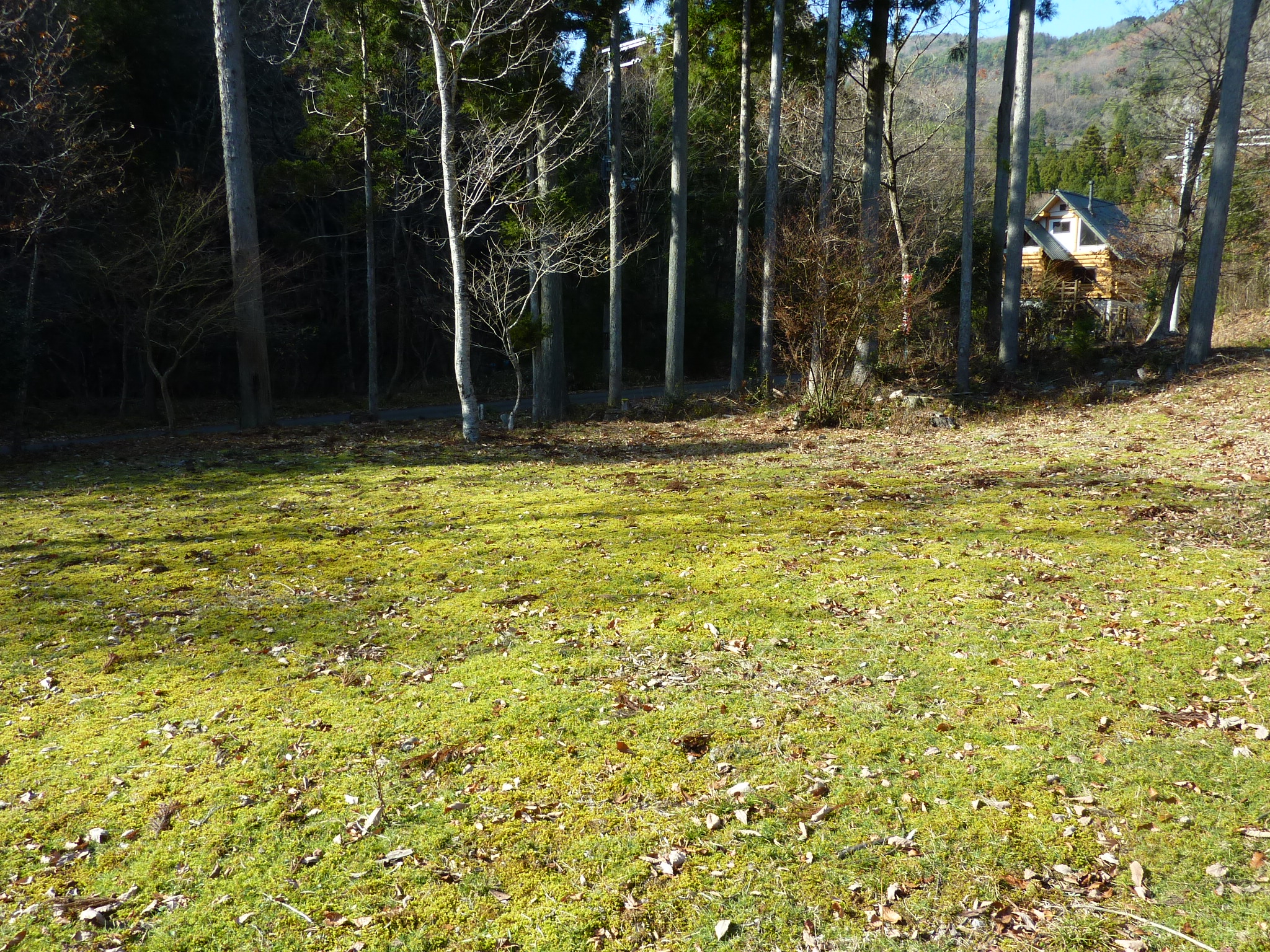P1090216.JPG