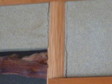 img0040.jpg