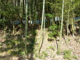img0047.jpg