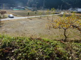 img0049.jpg