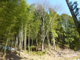 img0050.jpg