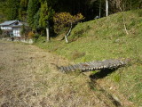 img0051.jpg