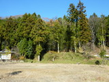 img0053.jpg