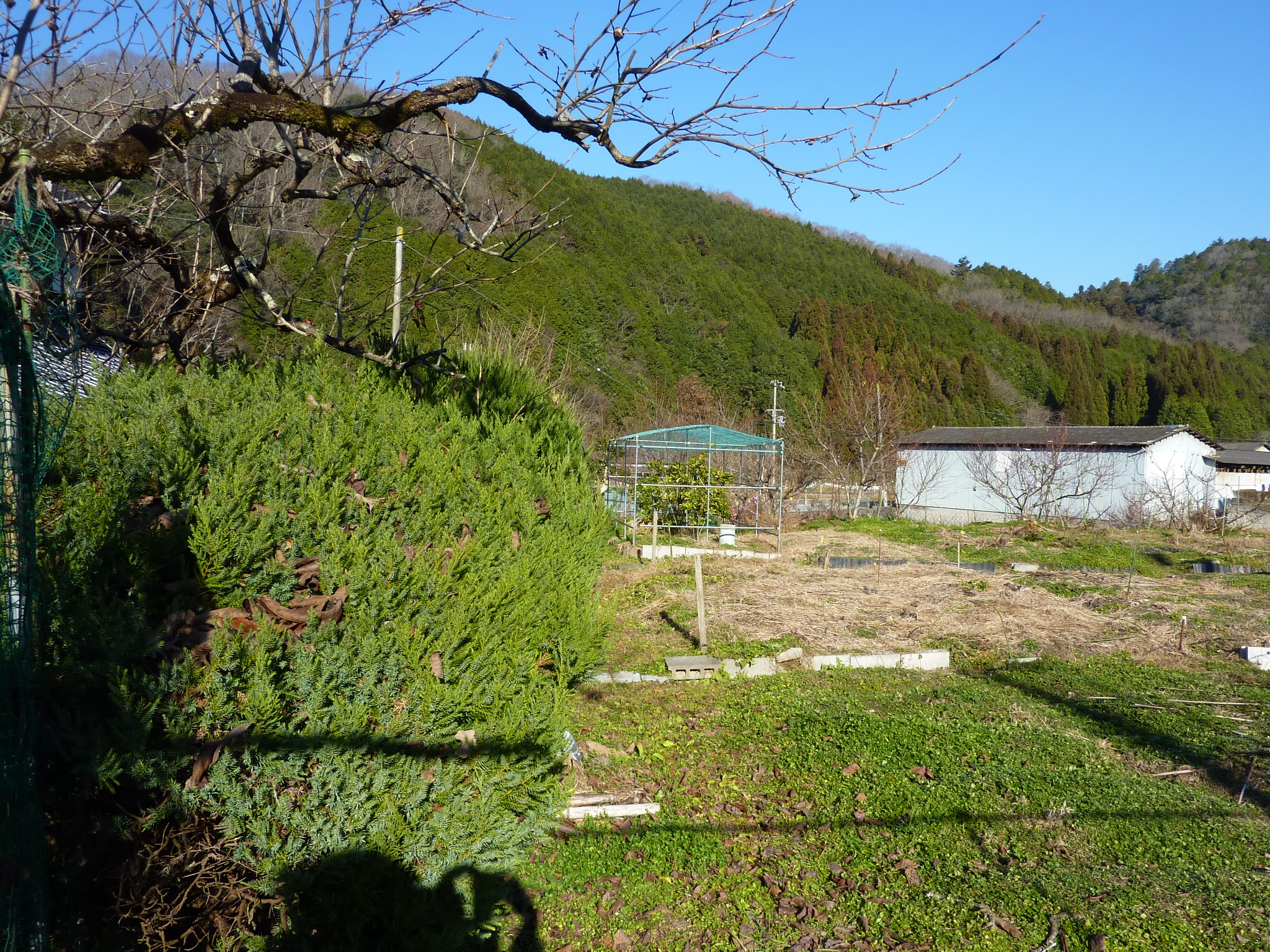 P1090269.JPG