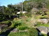 img0000.jpg