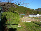 img0003.jpg