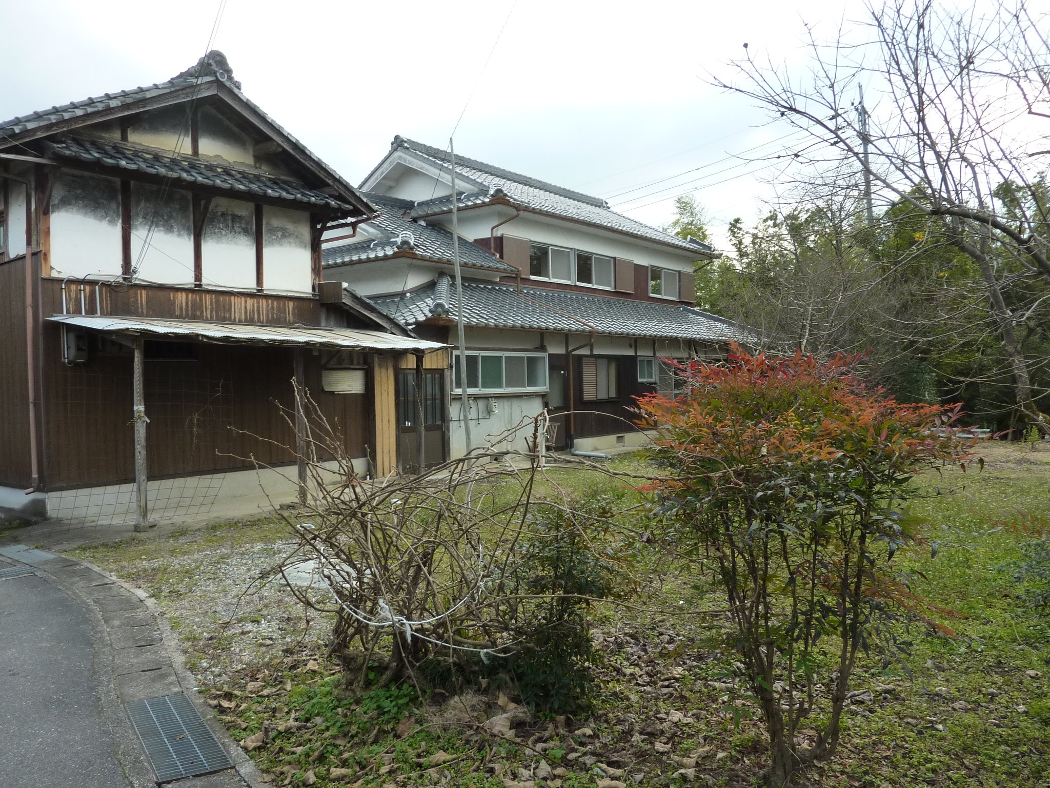 P1090304.JPG
