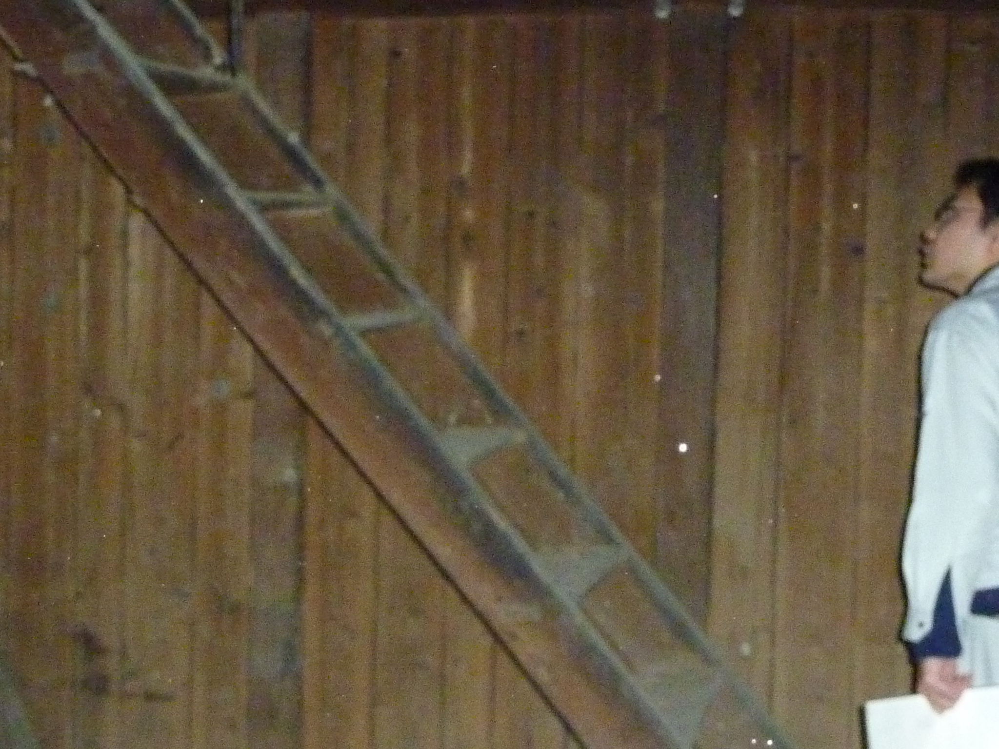 P1090316.JPG