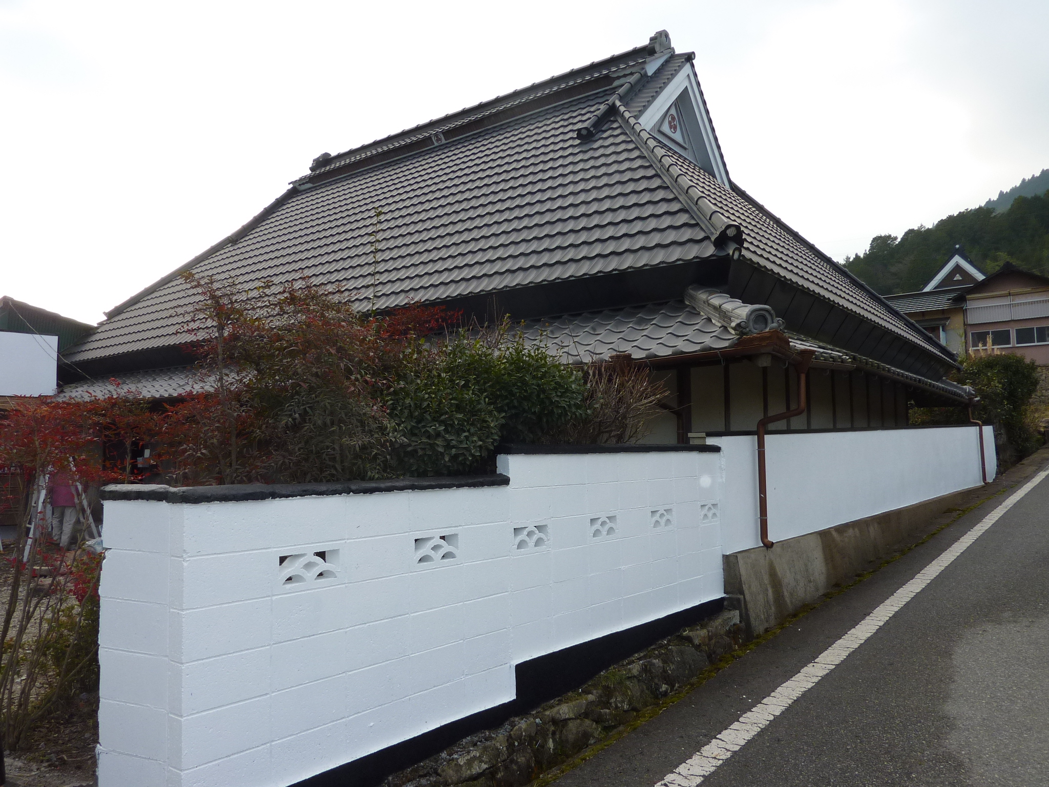 P1090319.JPG