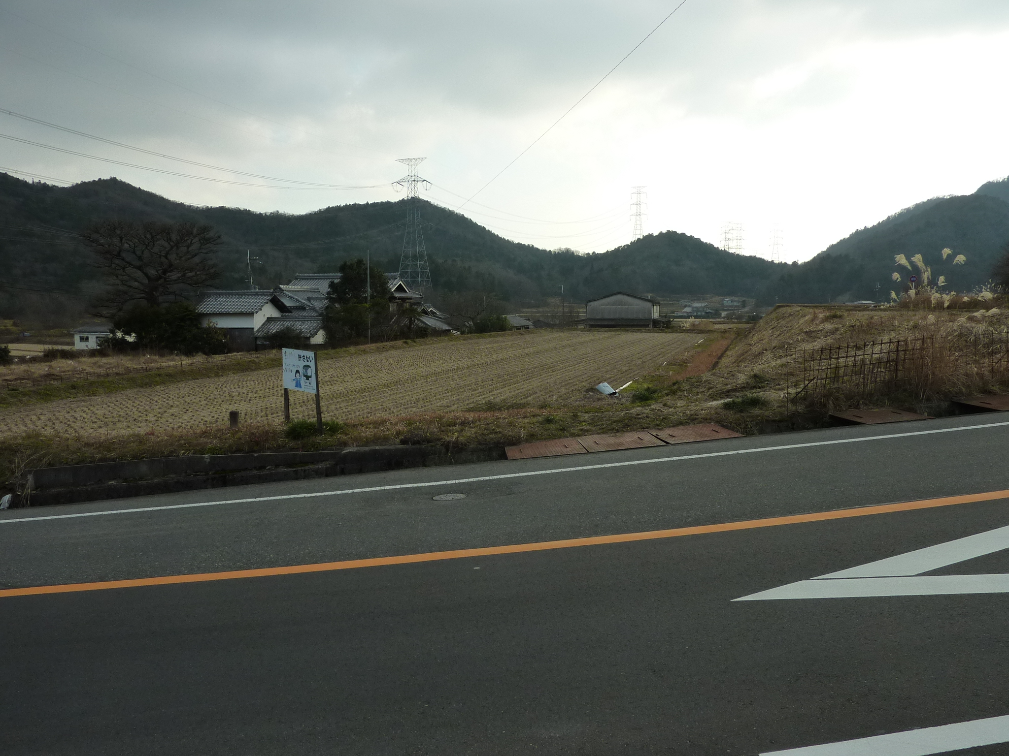 P1090324.JPG