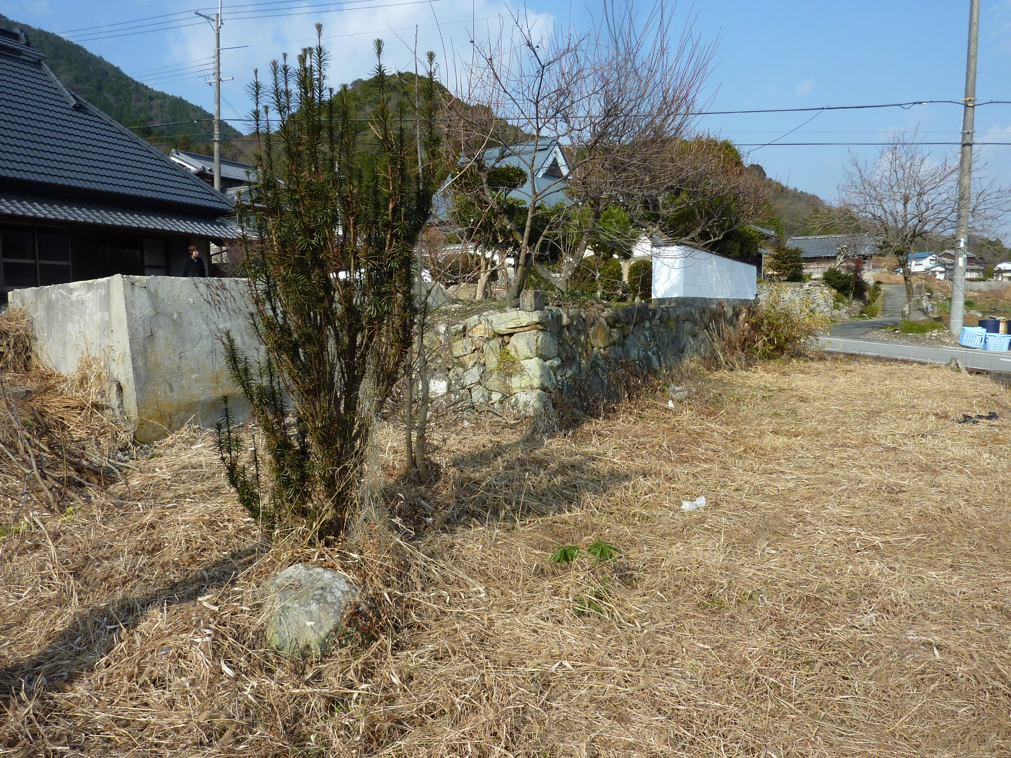 P1090361.JPG