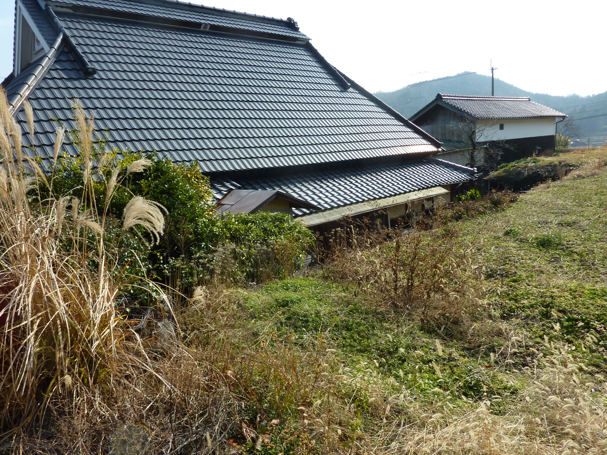 P1090364.JPG