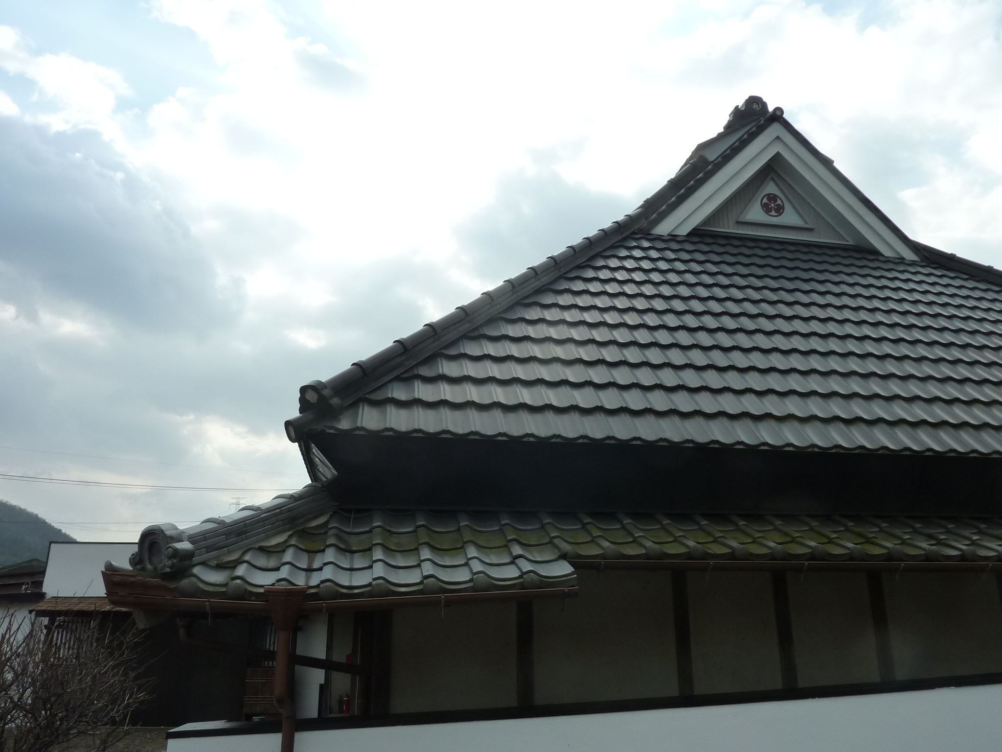 P1090410.JPG