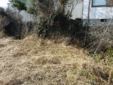 img0003.jpg