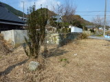 img0005.jpg