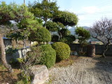 img0007.jpg