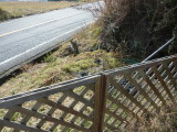 img0010.jpg
