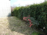 img0012.jpg