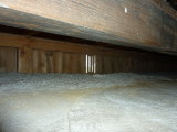 img0040.jpg