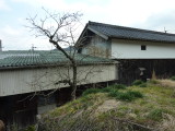 img0050.jpg