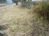 img0055.jpg