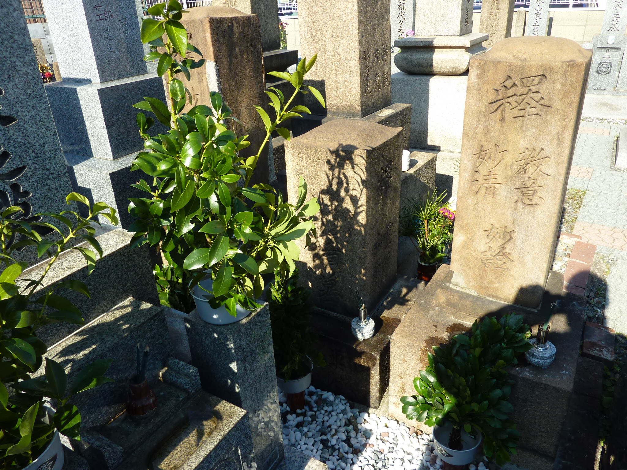 P1090505.JPG