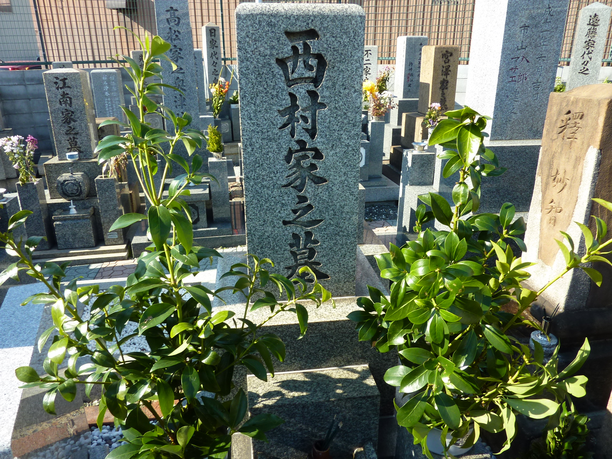 P1090506.JPG