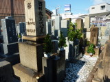 img0004.jpg