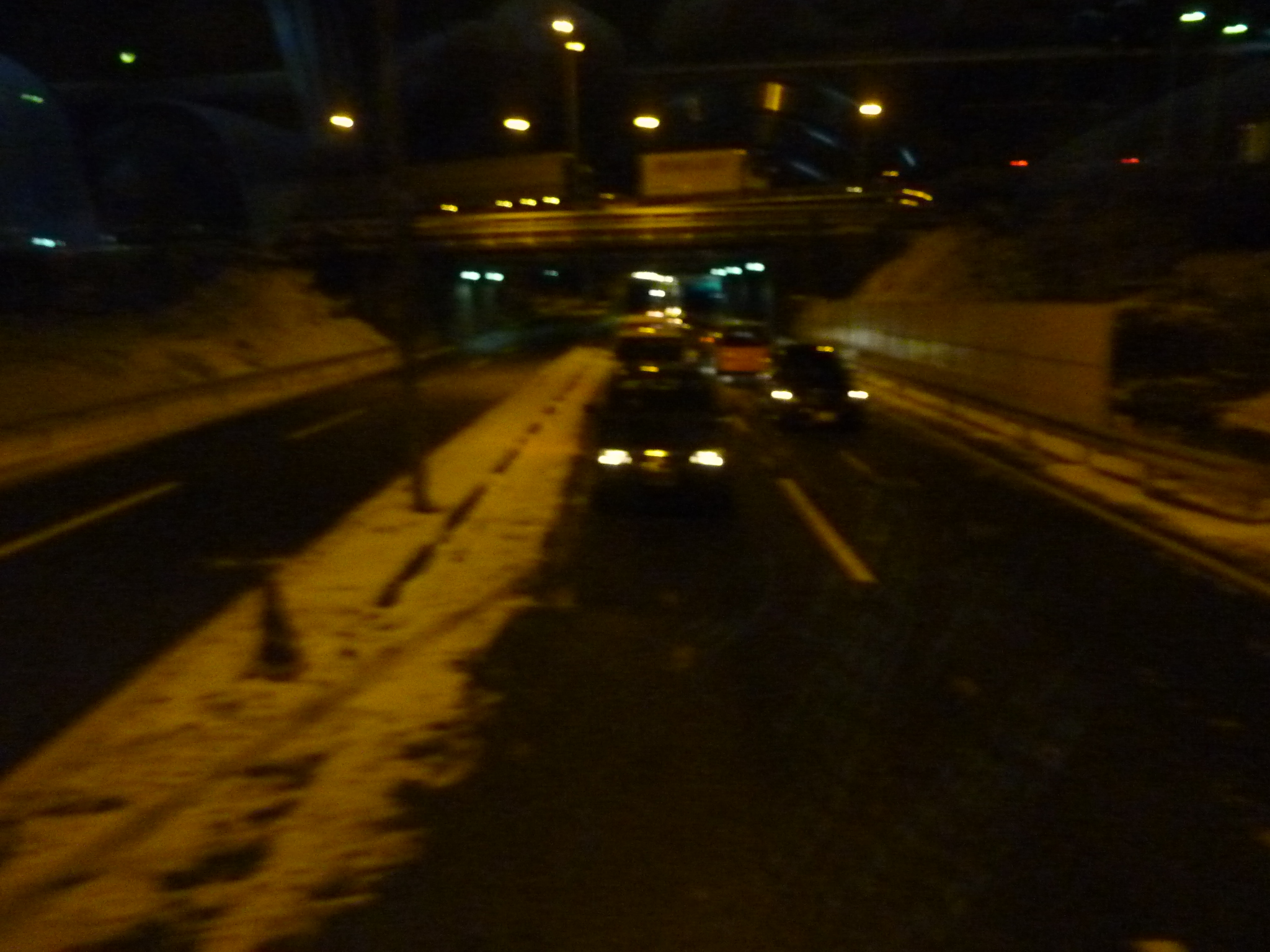 P1090520.JPG