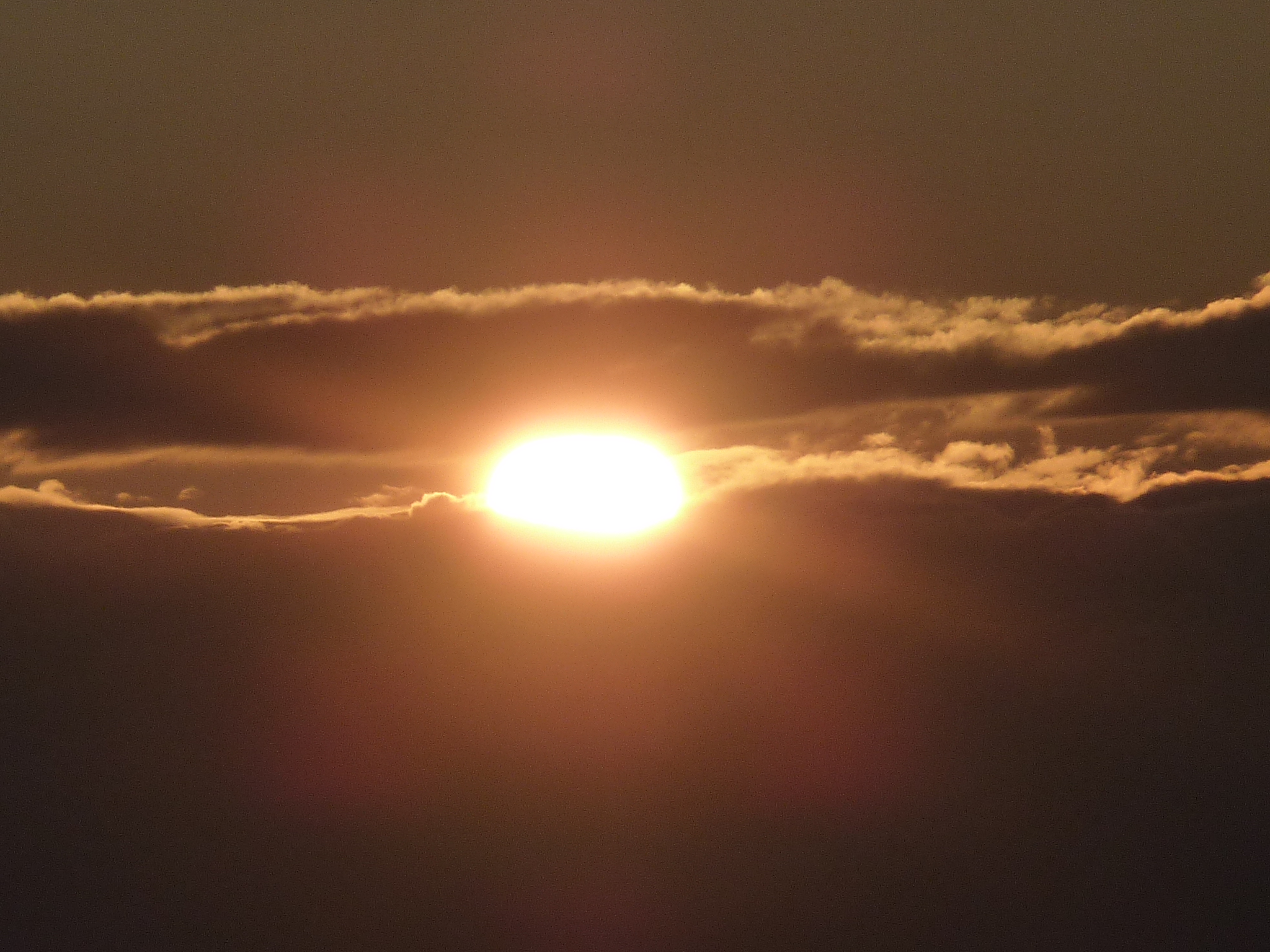 P1090554.JPG