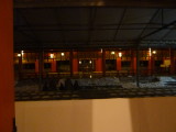 img0015.jpg