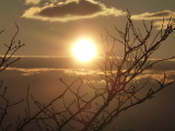 img0041.jpg