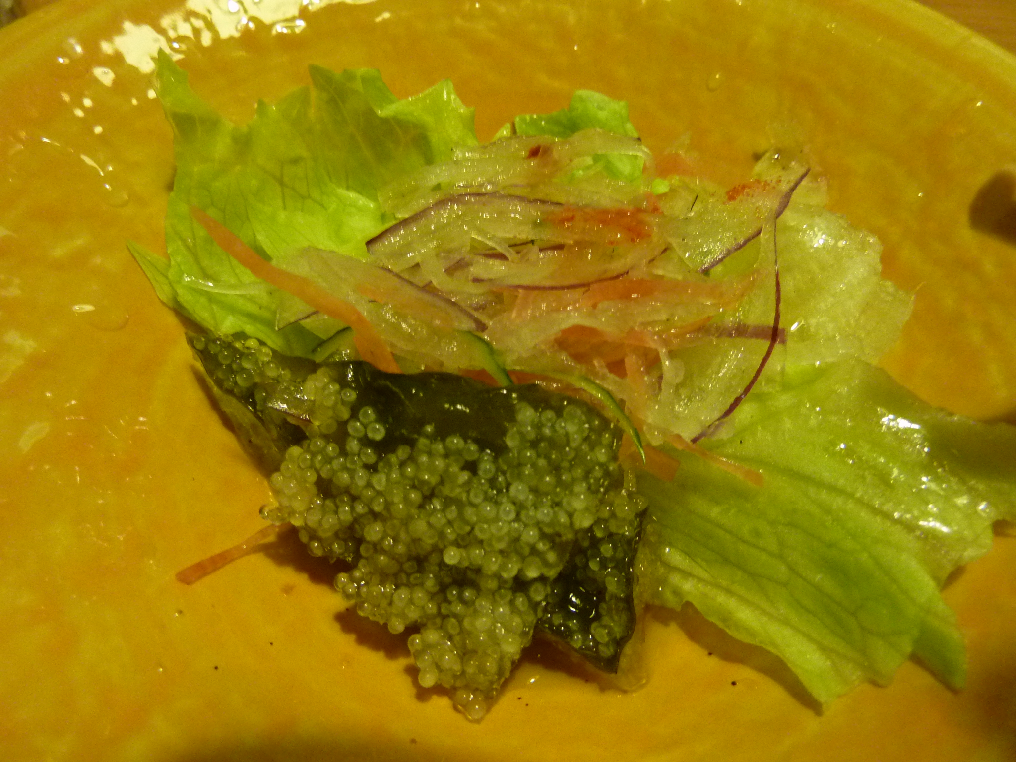 P1090617.JPG