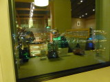 img0005.jpg