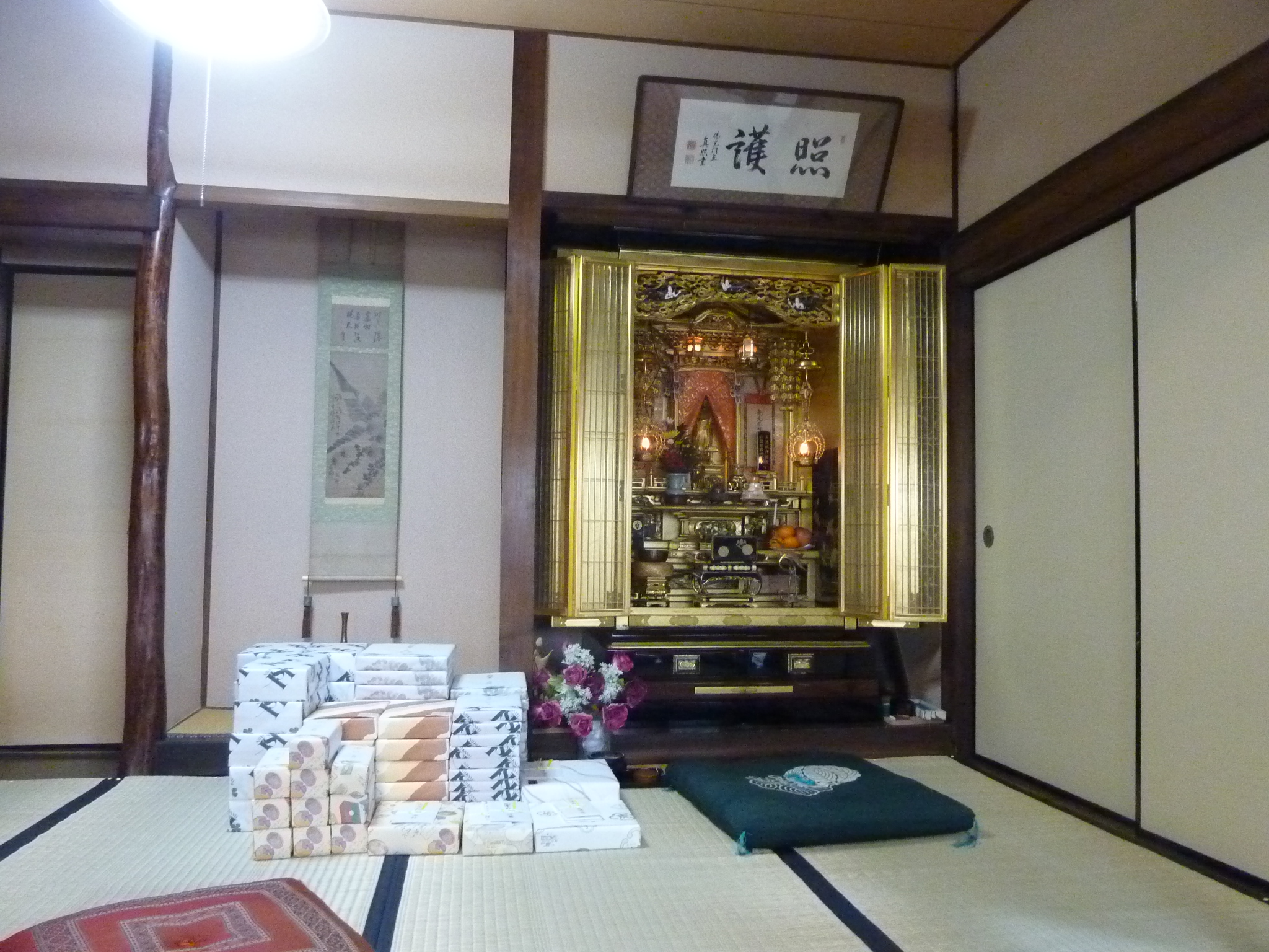 P1090737.JPG